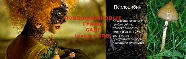 мяу мяу мука Зерноград