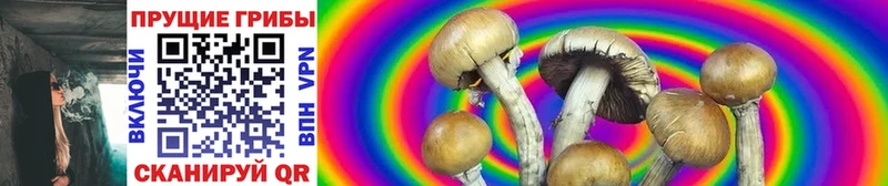 магазин    kraken ТОР  Галлюциногенные грибы Psilocybine cubensis  Новочеркасск 