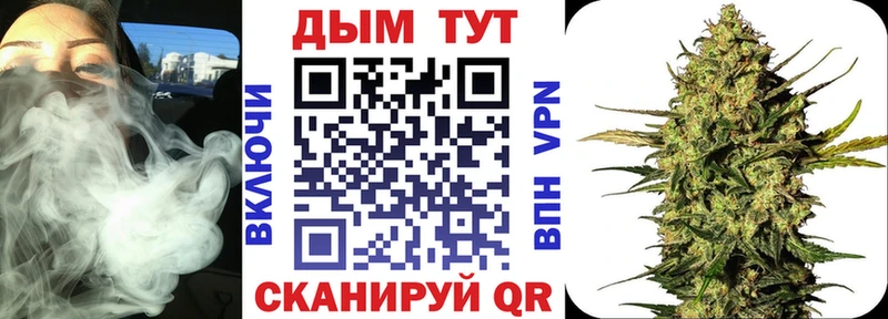 МАРИХУАНА SATIVA & INDICA  дарнет шоп  Новочеркасск 